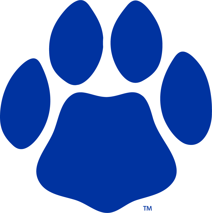 Georgia State Panthers 2009-2012 Secondary Logo t shirts iron on transfers